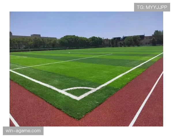 草坪场地规则拆解：足球比赛对场地质量有哪些硬性标准？