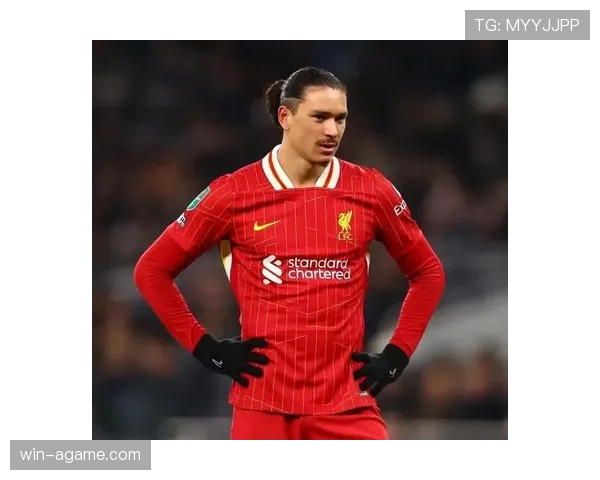 努涅斯转会费是否存在溢价分析