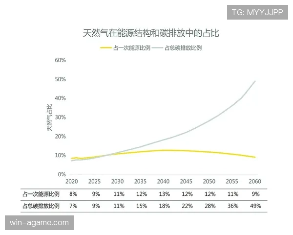 杜埃上限潜力与能力发展路径分析